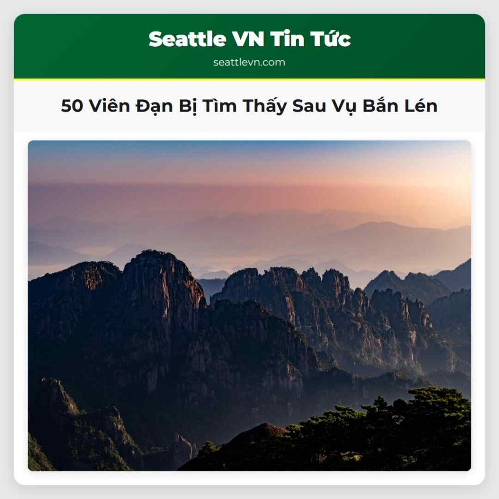 50 Viên Đạn Bị Tìm Thấy Sau Vụ Bắn Lén