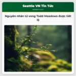 Nguyên nhân tử vong của thuyền viên Deadliest Catch Todd Meadows được tiết lộ