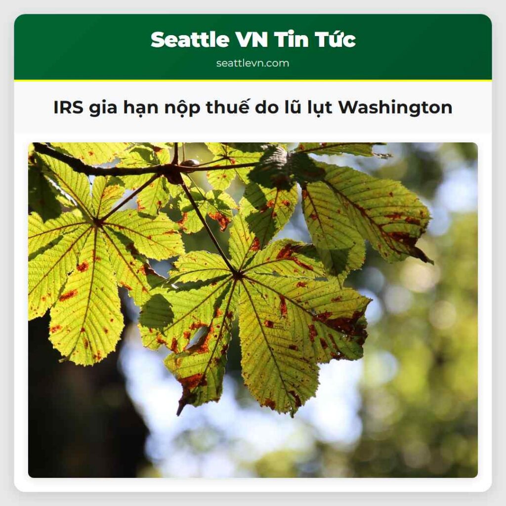 IRS gia hạn nộp thuế do lũ lụt Washington