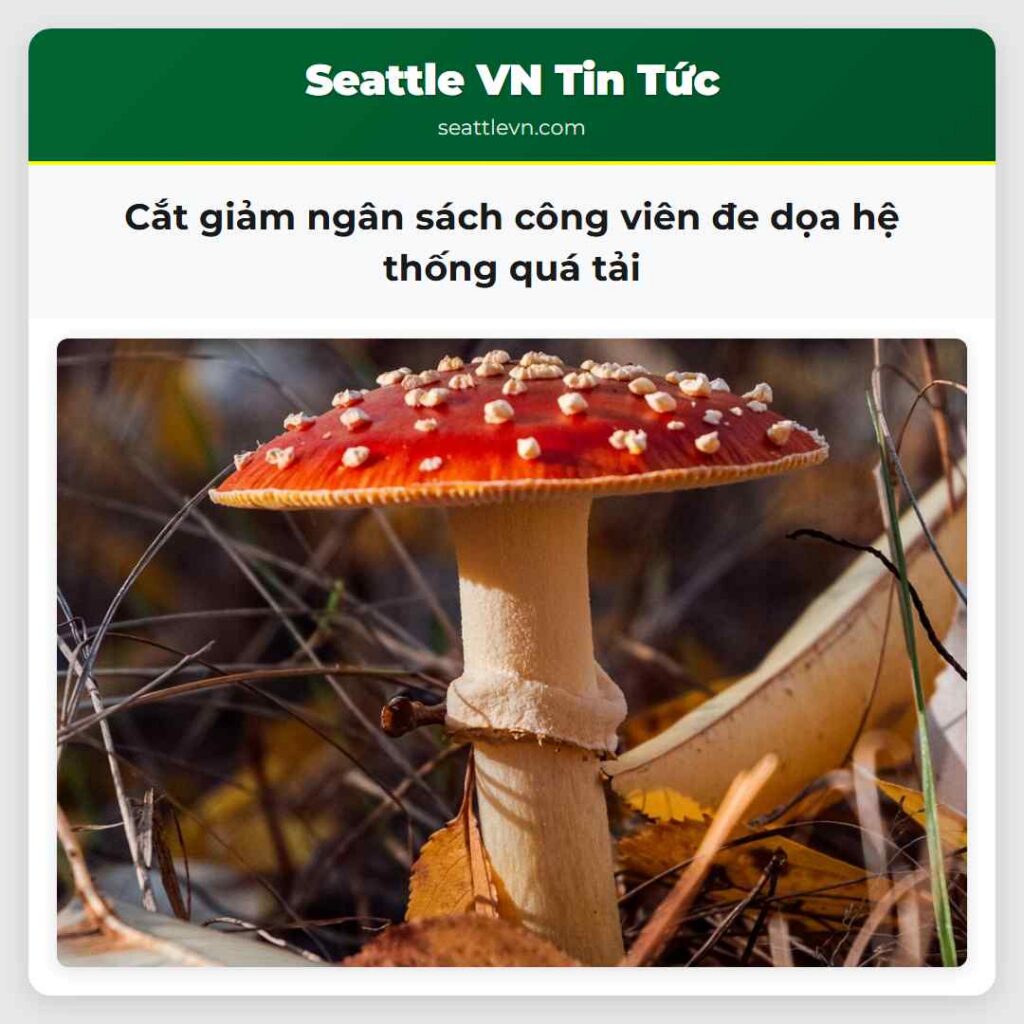 Cắt giảm ngân sách công viên đe dọa hệ thống quá