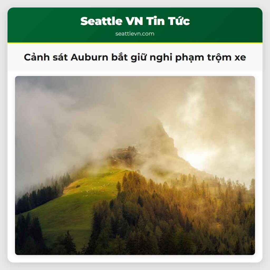 Cảnh sát Auburn bắt giữ nghi phạm trộm xe