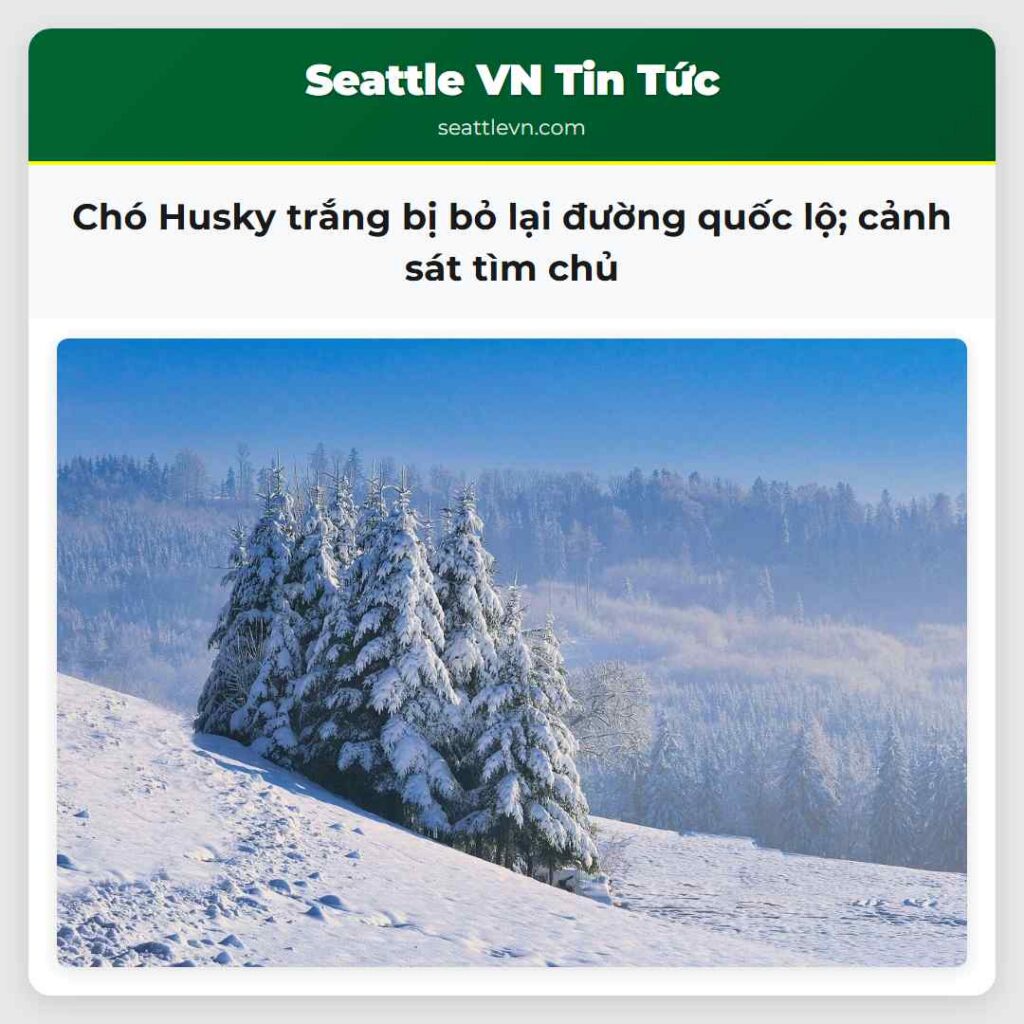Chó Husky trắng bị bỏ lại đường quốc lộ; cảnh sát