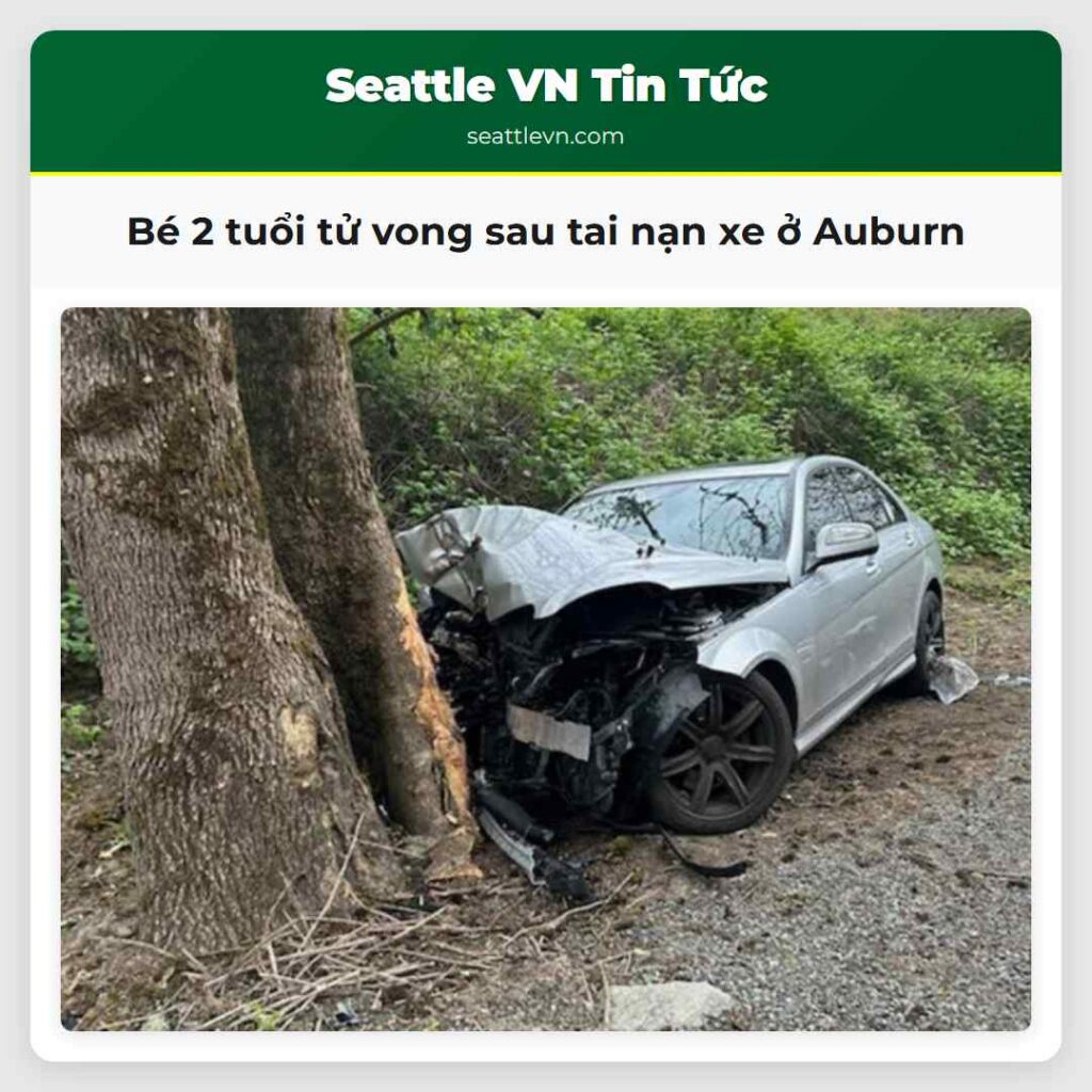 Bé 2 tuổi tử vong sau tai nạn xe ở Auburn
