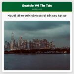 Người Lái Xe Cố Trốn Cảnh Sát Bị Bắt Sau Khi Kẹt Xe