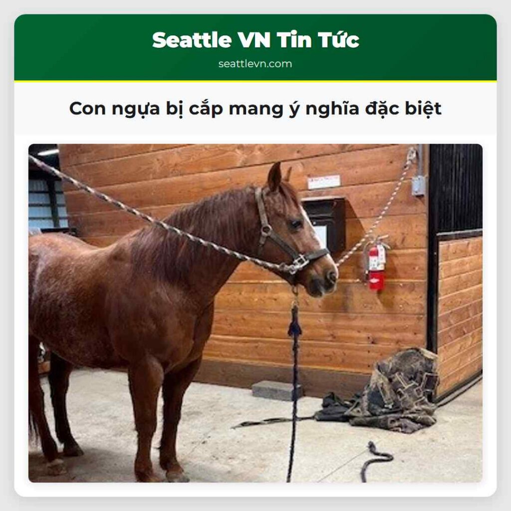 Con ngựa bị cắp mang ý nghĩa đặc biệt