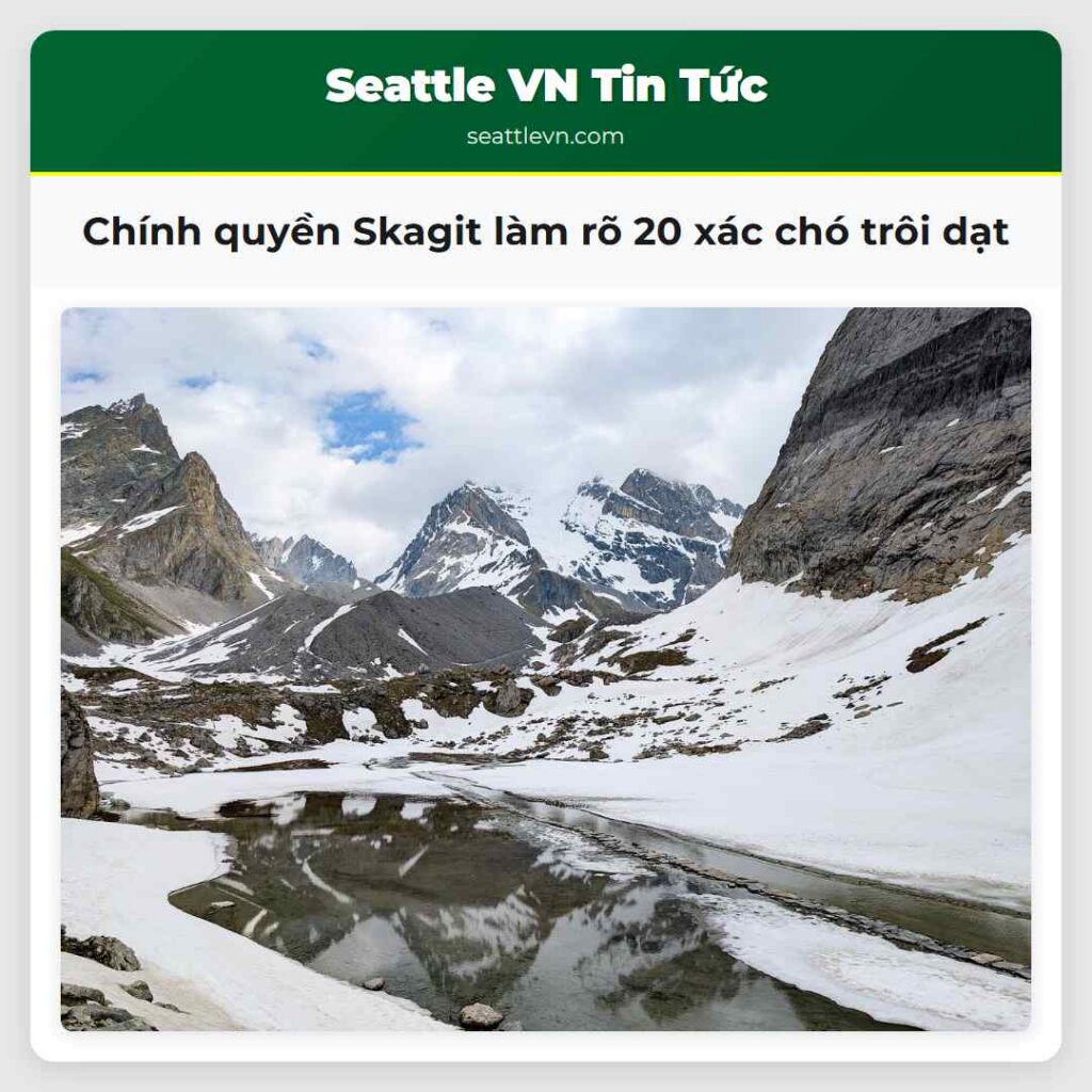 Chính quyền Skagit làm rõ 20 xác chó trôi dạt