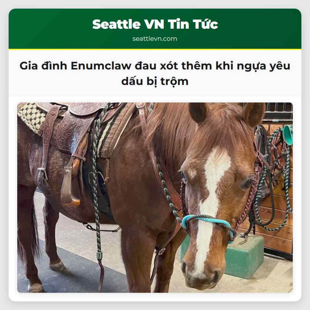 Gia đình Enumclaw đau xót thêm khi ngựa yêu dấu