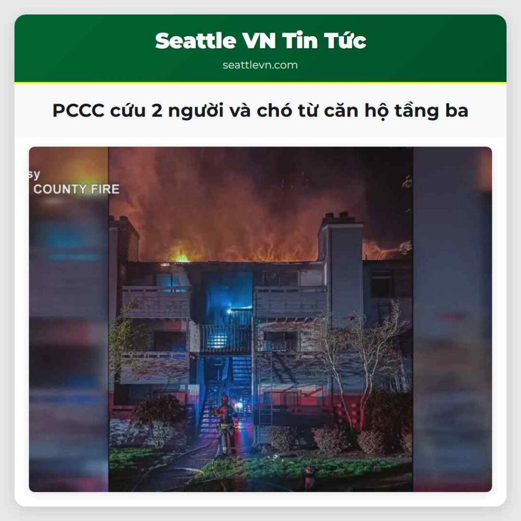 PCCC cứu 2 người và chó từ căn hộ tầng ba