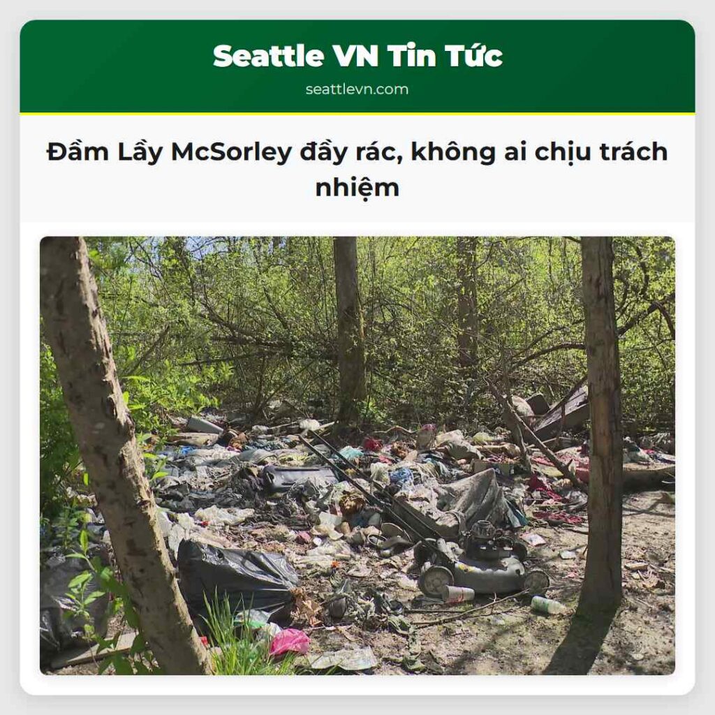 Đầm Lầy McSorley đầy rác, không ai chịu trách