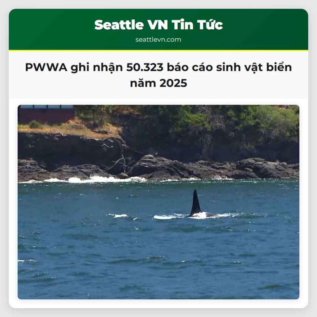 PWWA ghi nhận 50.323 báo cáo sinh vật biển năm