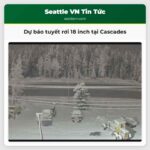 Dự báo tuyết rơi 18 inch tại Cascades