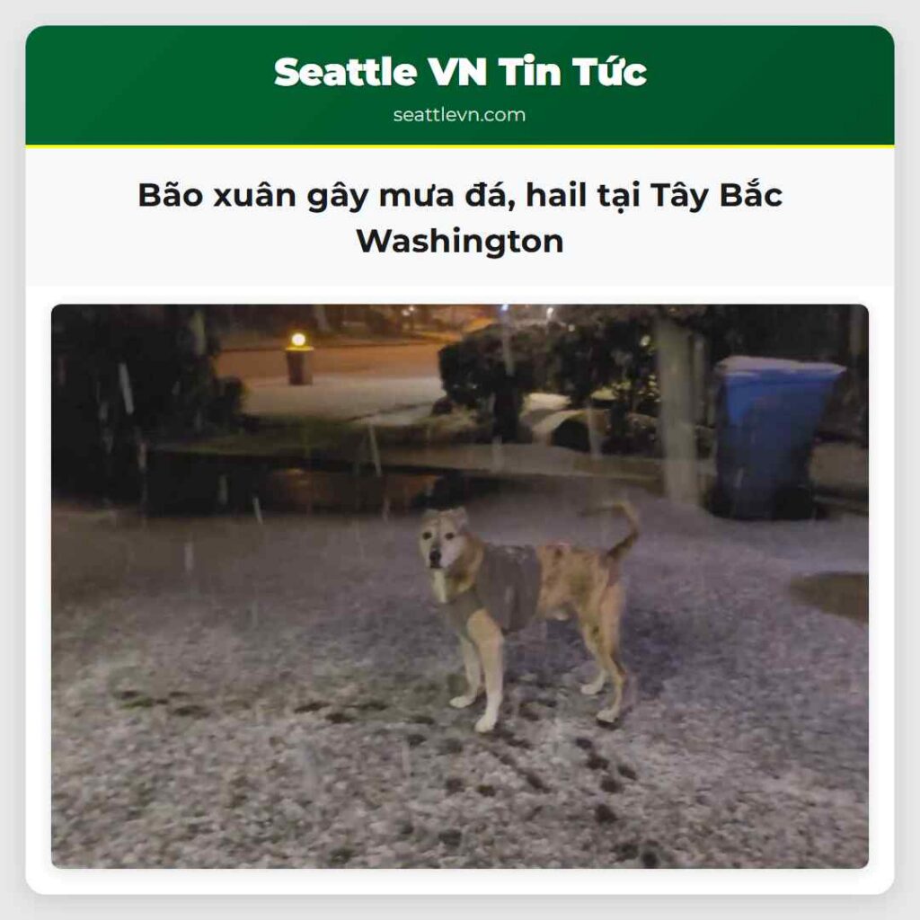 Bão xuân gây mưa đá, hail tại Tây Bắc Washington