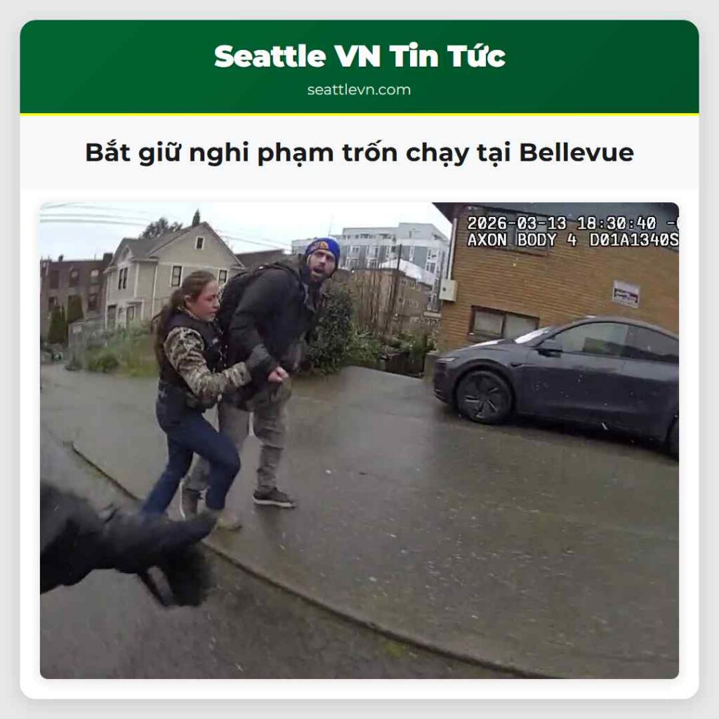 Bắt giữ nghi phạm trốn chạy tại Bellevue