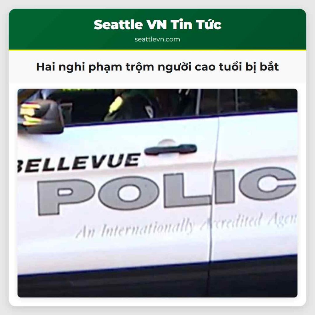 Hai nghi phạm trộm người cao tuổi bị bắt