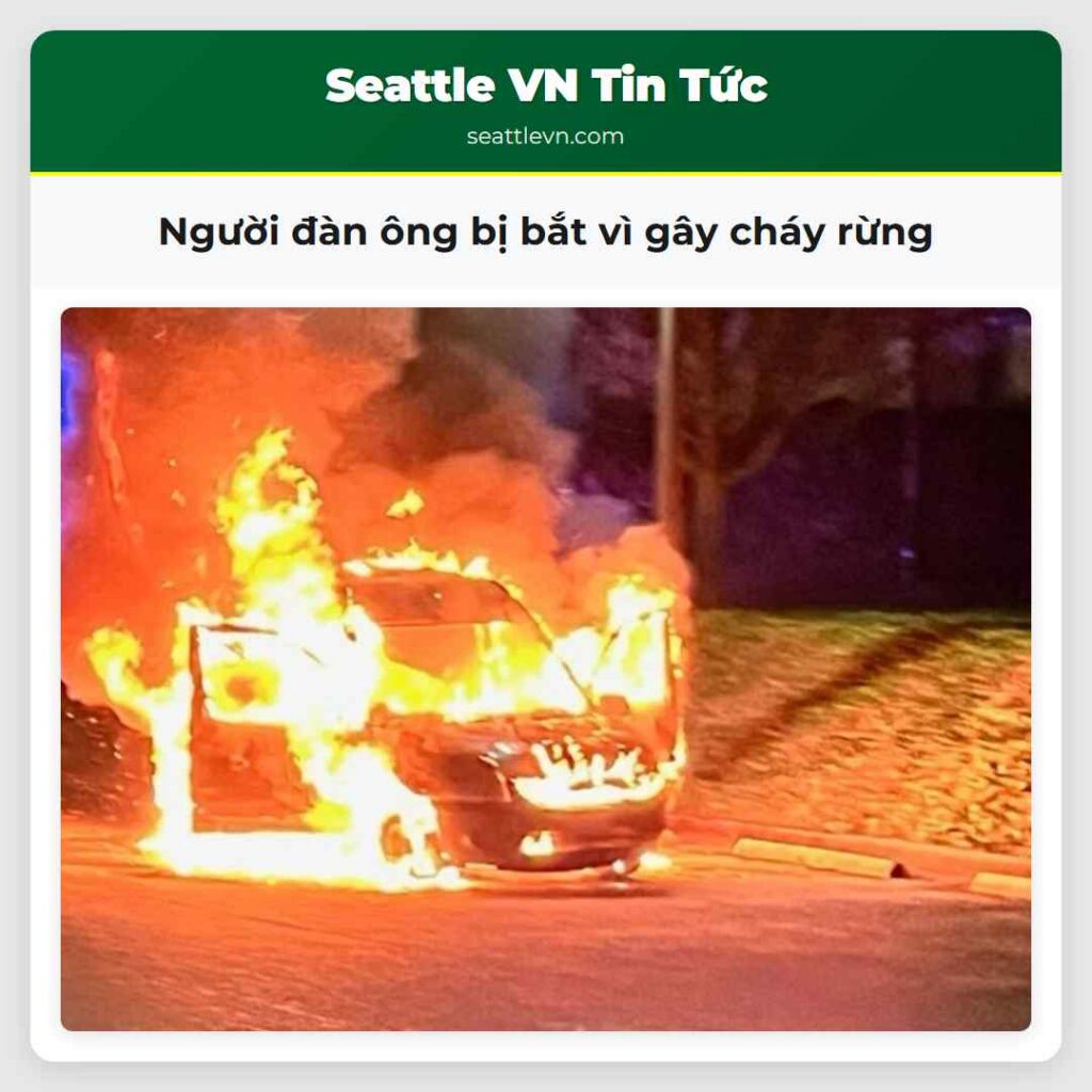 Người đàn ông bị bắt vì gây cháy rừng