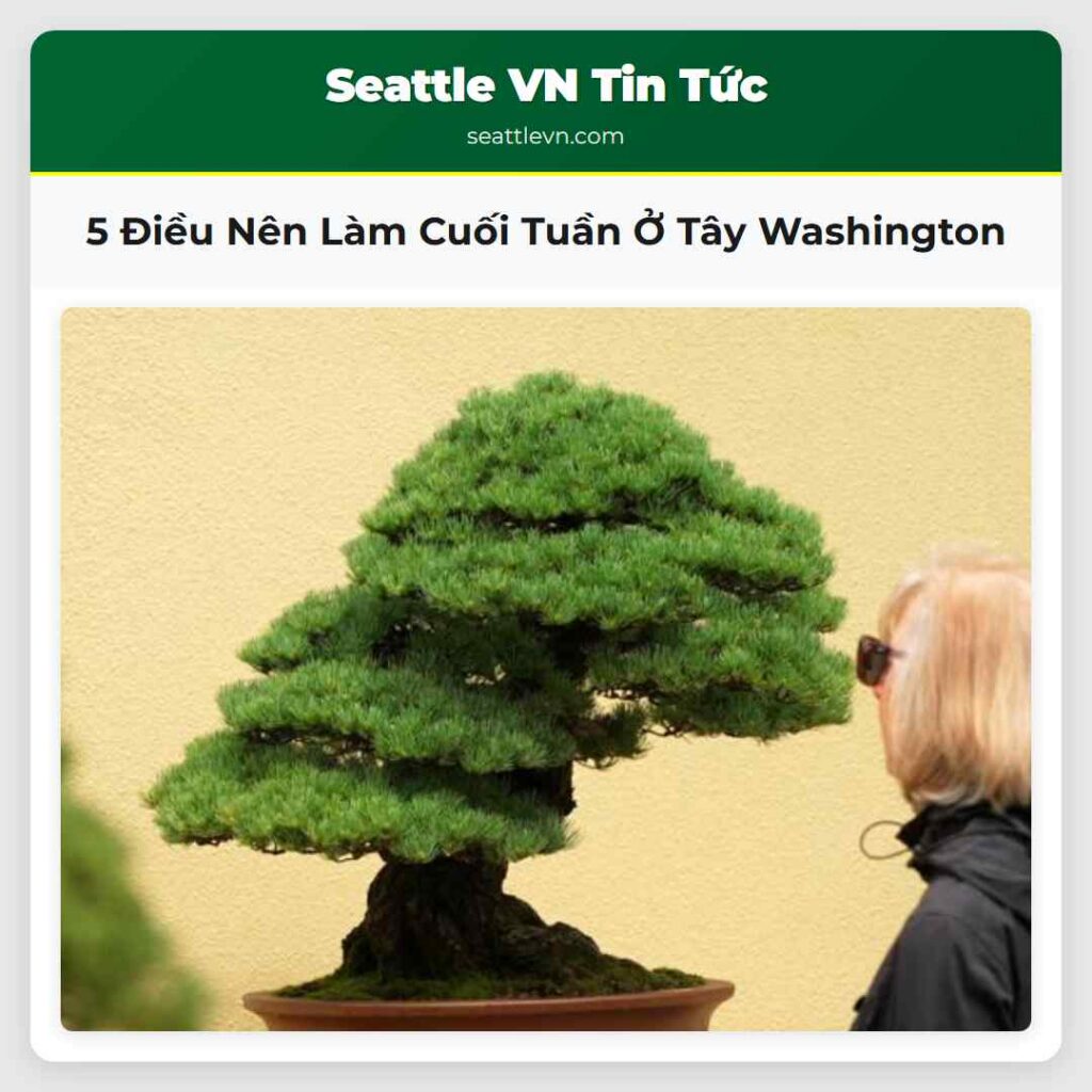 5 Điều Nên Làm Cuối Tuần Ở Tây Washington