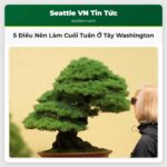 5 Điều Nên Làm Cuối Tuần Ở Tây Washington