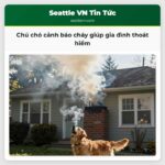 Chú chó cảnh báo cháy giúp gia đình thoát hiểm