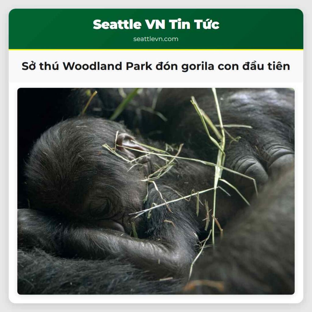 Sở thú Woodland Park đón gorila con đầu tiên