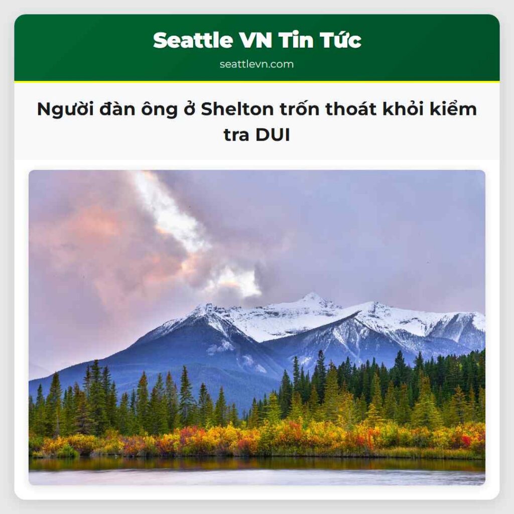 Người đàn ông ở Shelton trốn thoát khỏi kiểm tra