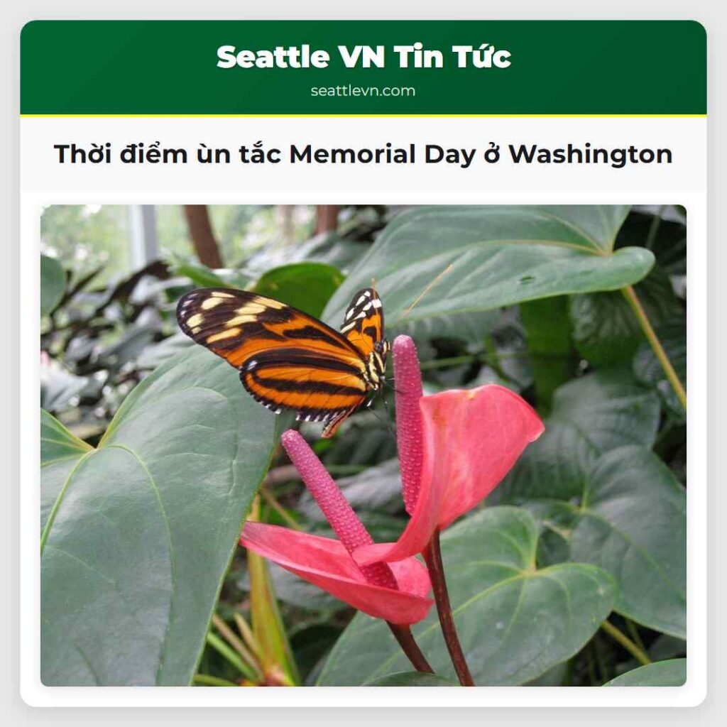 Thời điểm ùn tắc Memorial Day ở Washington