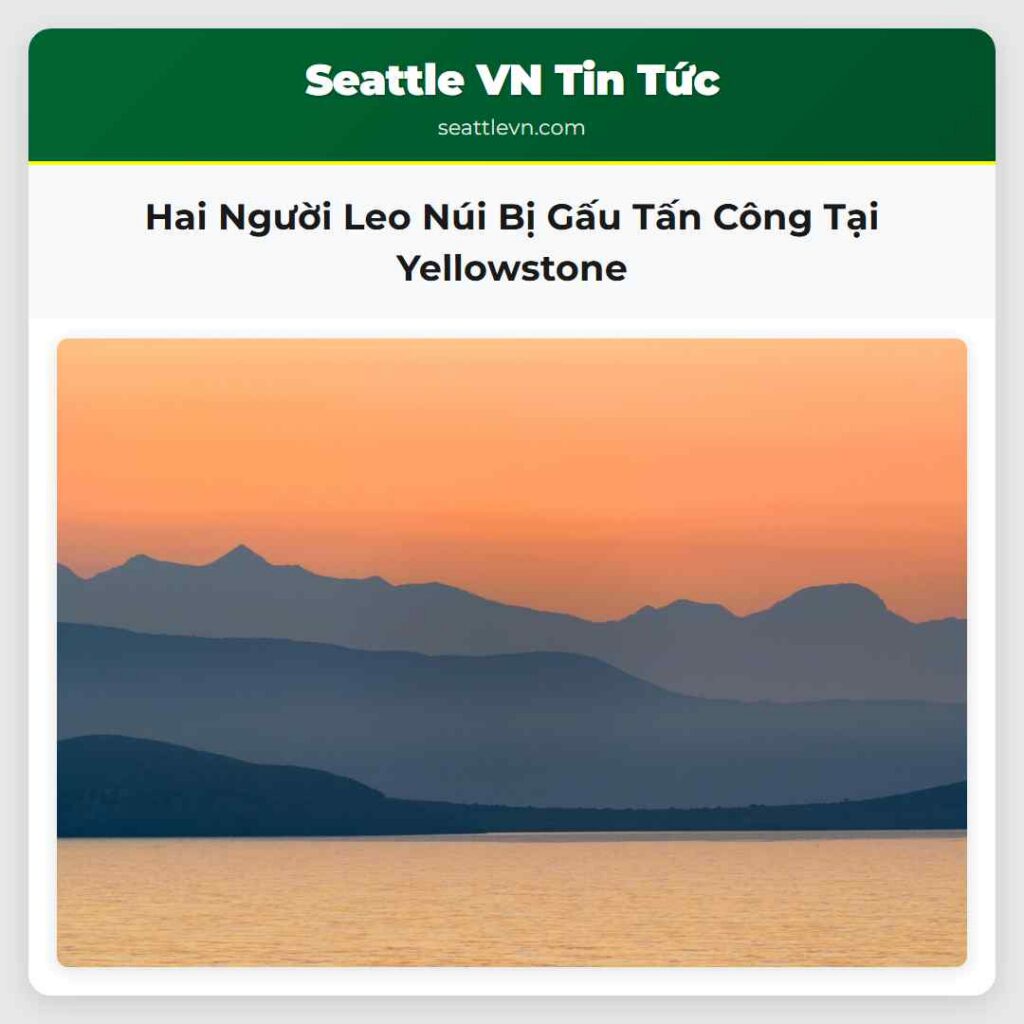 Hai Người Leo Núi Bị Gấu Tấn Công Tại Yellowstone