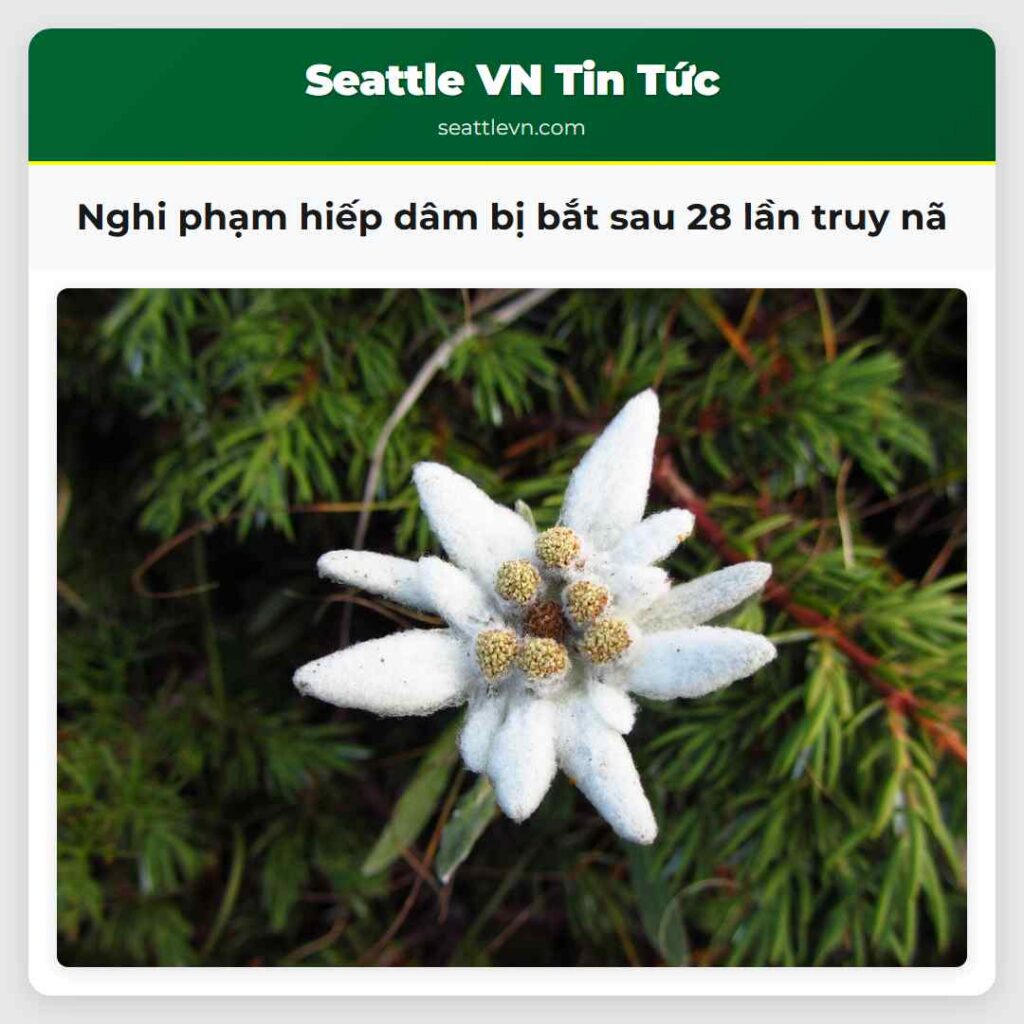 Nghi phạm hiếp dâm bị bắt sau 28 lần truy nã