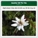 Nghi phạm hiếp dâm bị bắt sau 28 lần truy nã