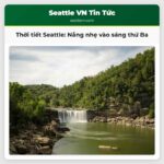 Thời tiết Seattle Nắng nhẹ vào sáng thứ Ba