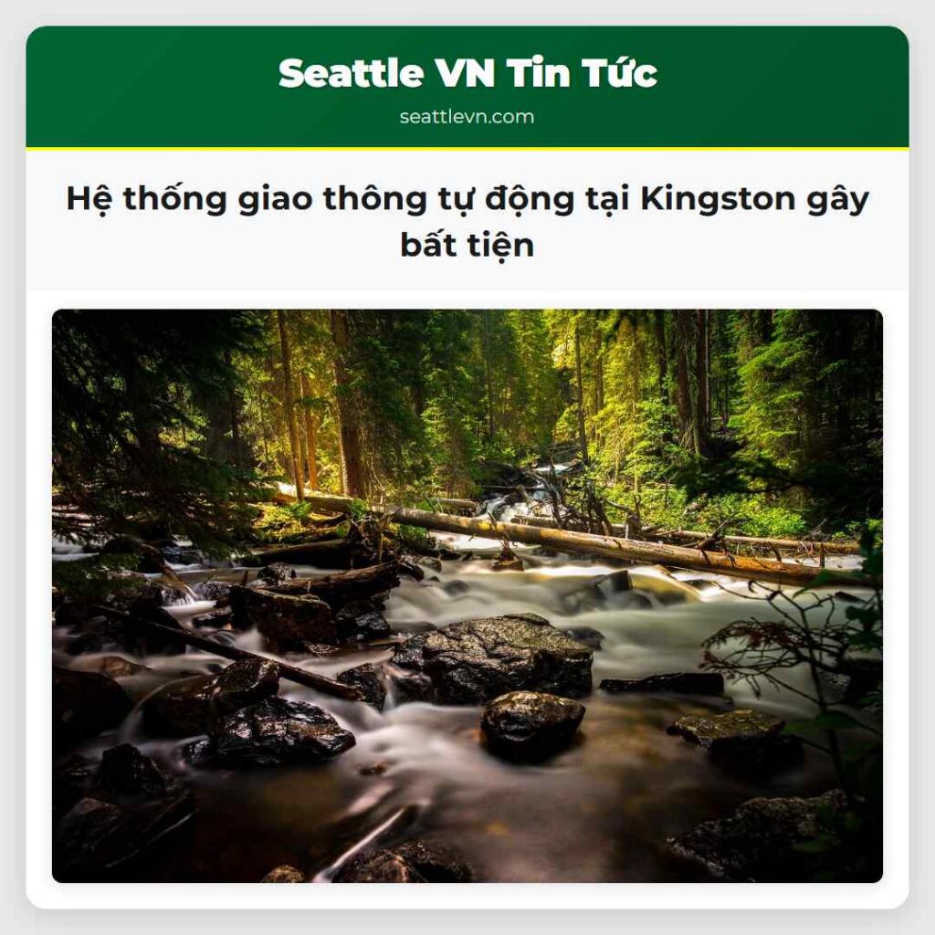 Hệ thống giao thông tự động tại Kingston gây bất