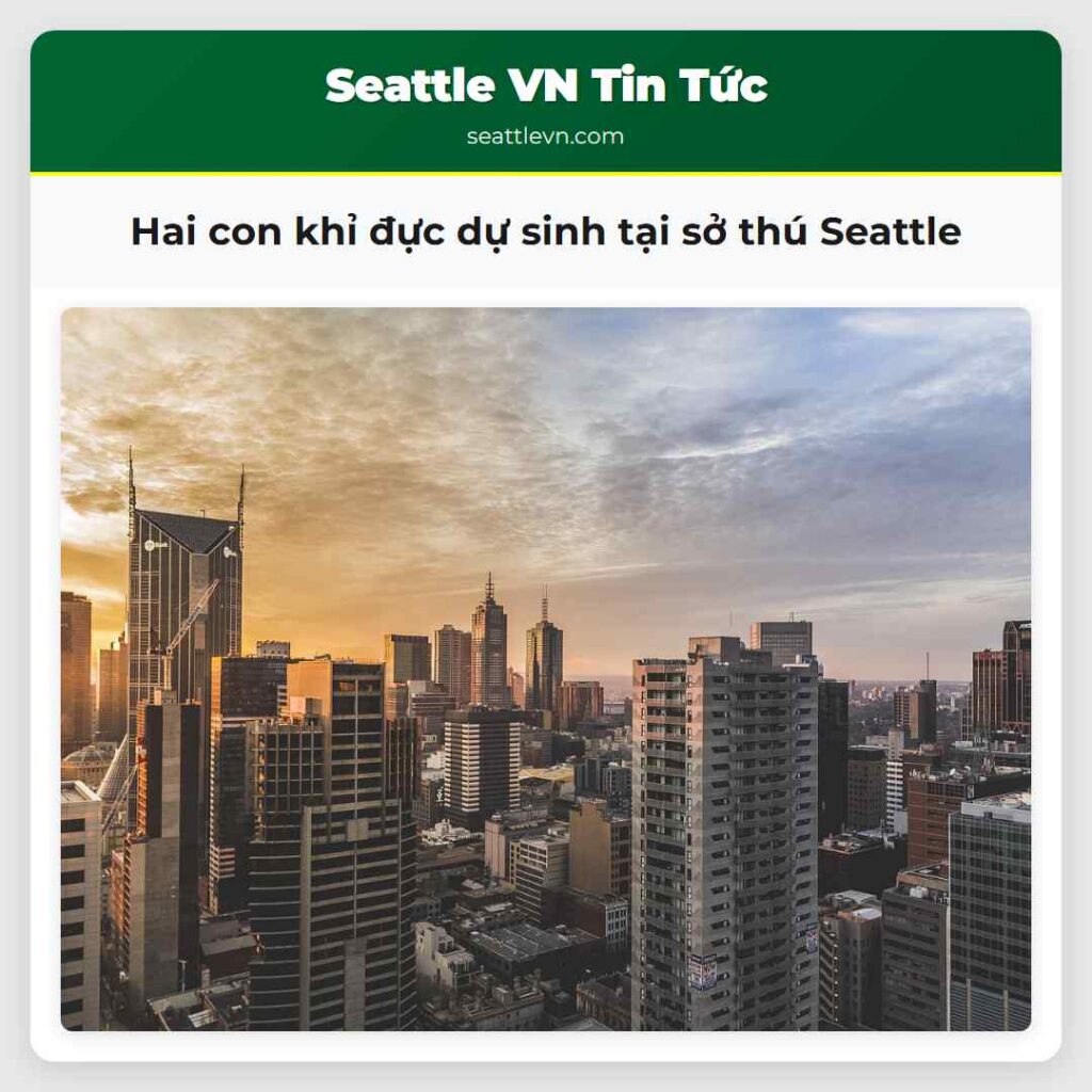 Hai con khỉ đực dự sinh tại sở thú Seattle