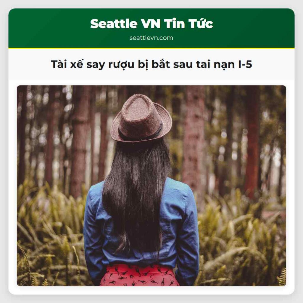 Tài xế say rượu bị bắt sau tai nạn I-5