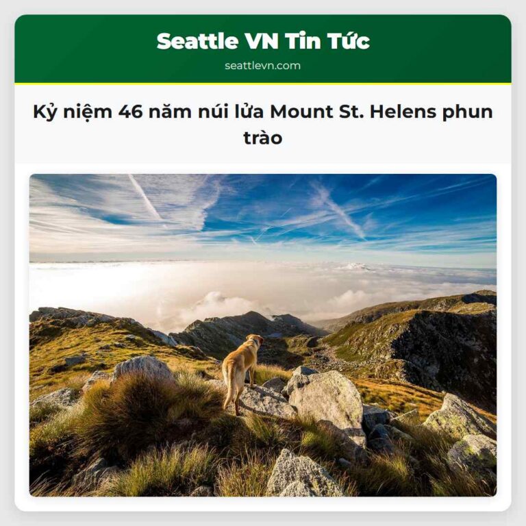 Kỷ niệm 46 năm núi lửa Mount St. Helens phun trào