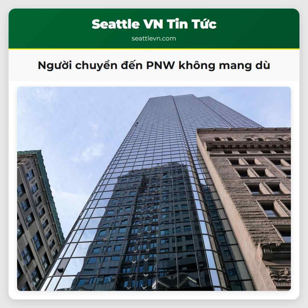 Người chuyển đến PNW không mang dù