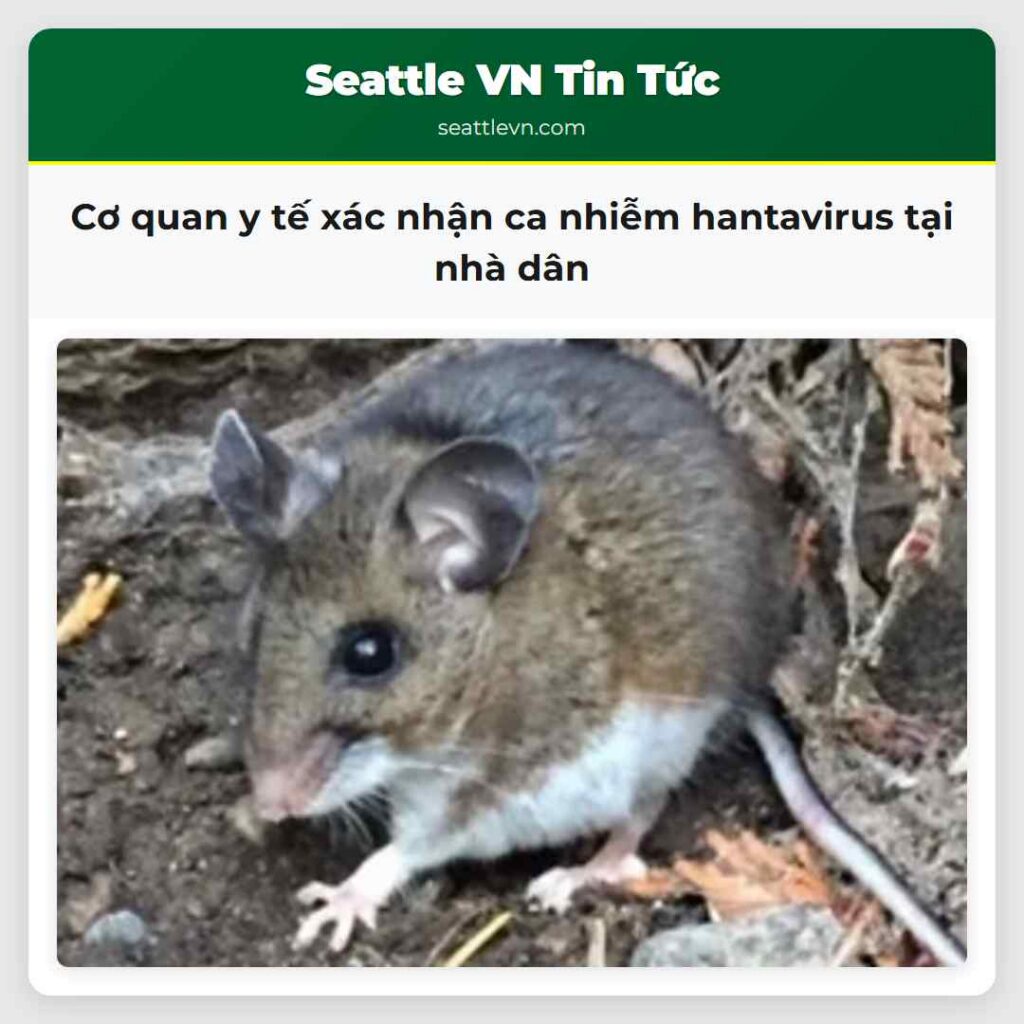 Cơ quan y tế xác nhận ca nhiễm hantavirus tại nhà