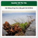 Hội đồng King thúc đẩy giải thể KCRHA