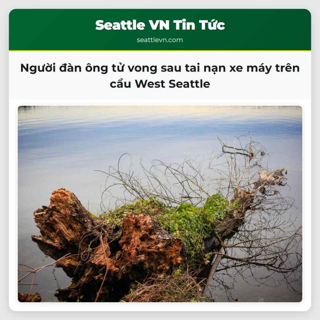 Người đàn ông tử vong sau tai nạn xe máy trên cầu