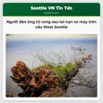 Người đàn ông tử vong sau tai nạn xe máy trên cầu West Seattle