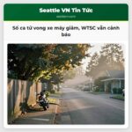 Số ca tử vong xe máy giảm WTSC vẫn cảnh báo