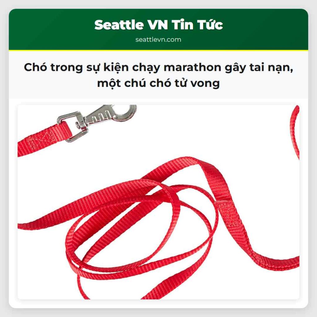 Chó trong sự kiện chạy marathon gây tai nạn, một