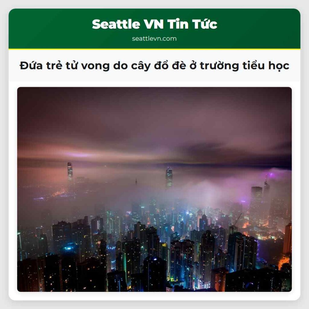 Đứa trẻ tử vong do cây đổ đè ở trường tiểu học
