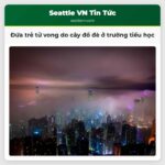 Đứa trẻ tử vong do cây đổ đè ở trường tiểu học