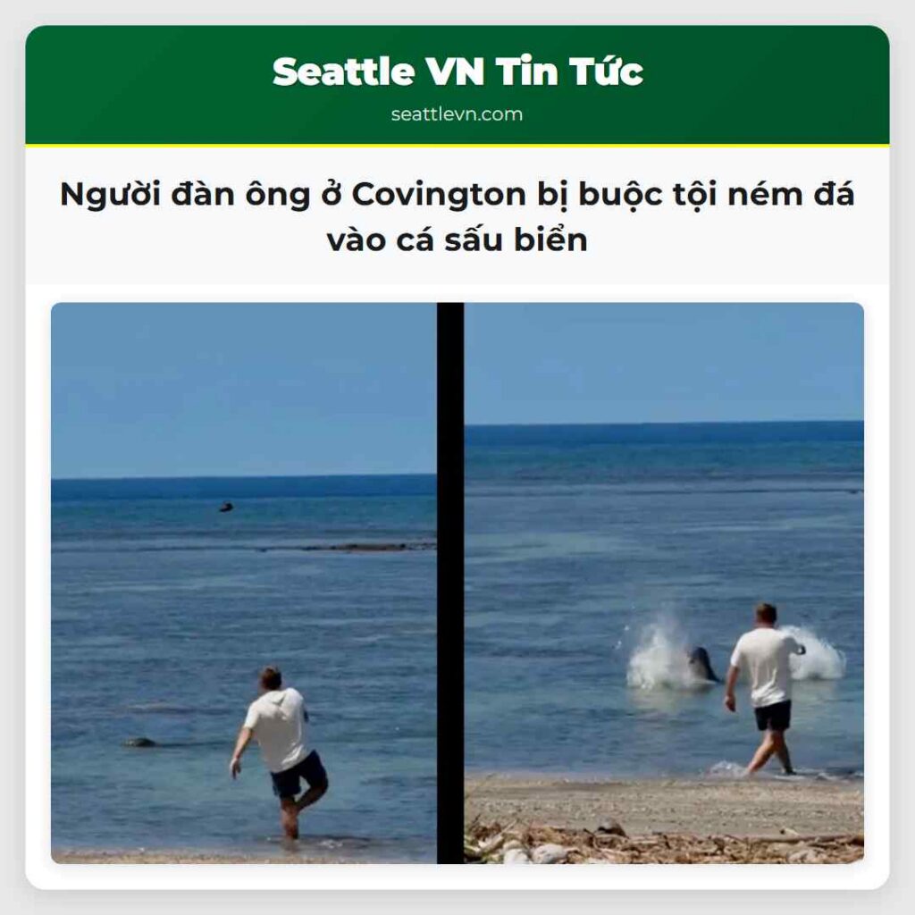 Người đàn ông ở Covington bị buộc tội ném đá vào