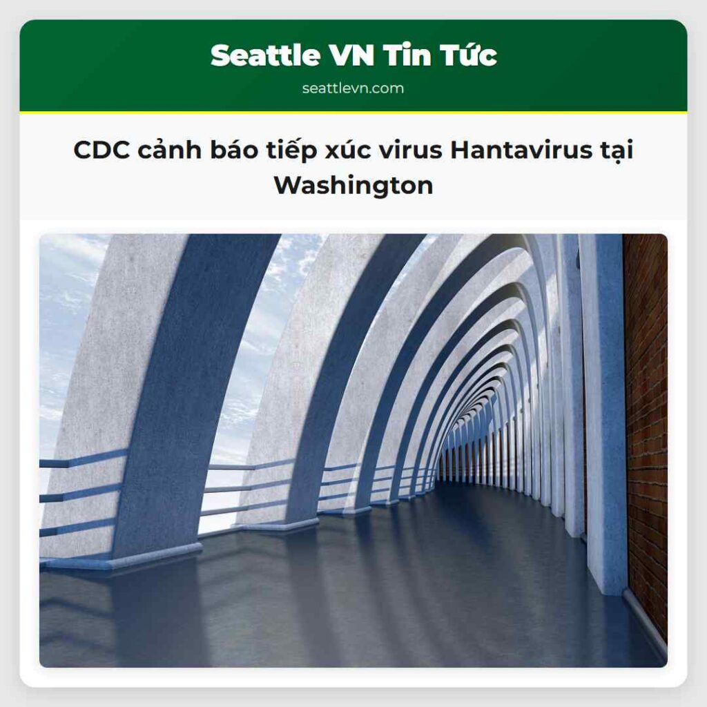 CDC cảnh báo tiếp xúc virus Hantavirus tại