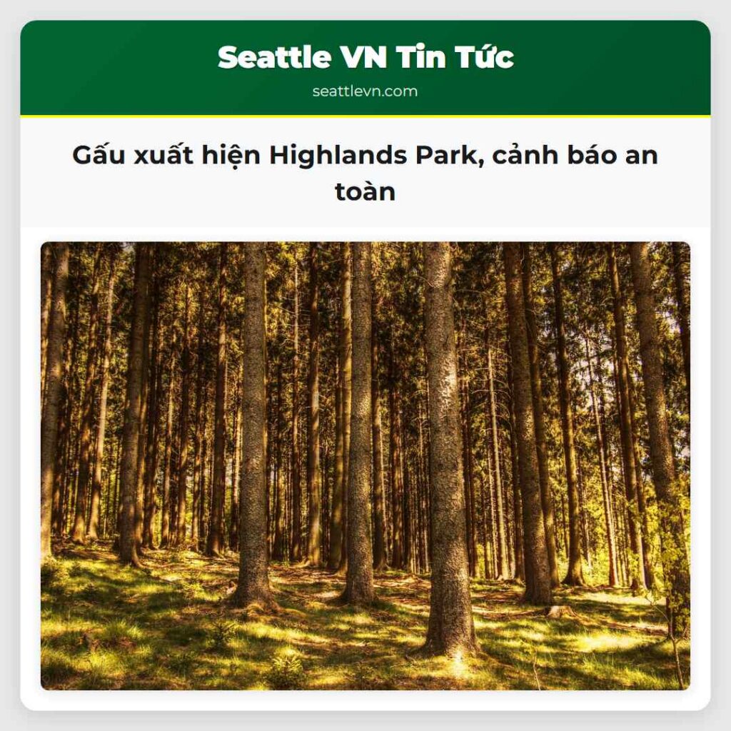 Gấu xuất hiện Highlands Park, cảnh báo an toàn