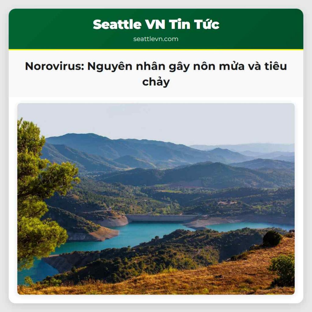 Norovirus: Nguyên nhân gây nôn mửa và tiêu chảy