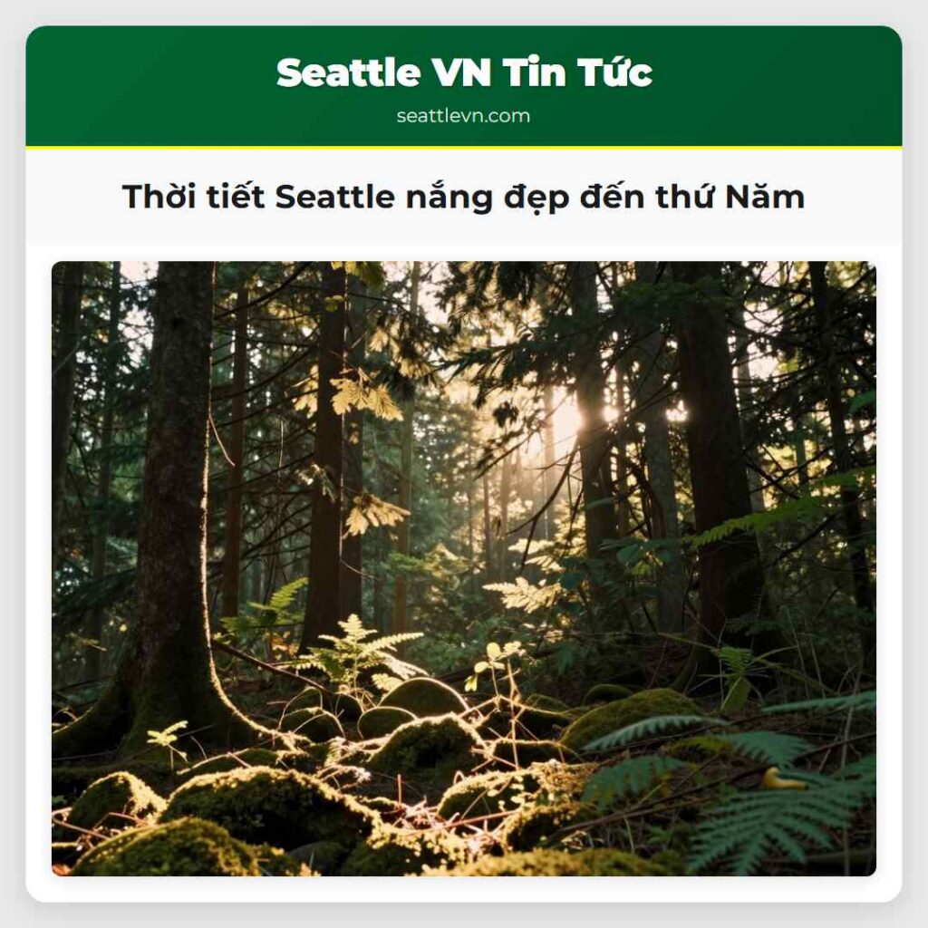 Thời tiết Seattle nắng đẹp đến thứ Năm