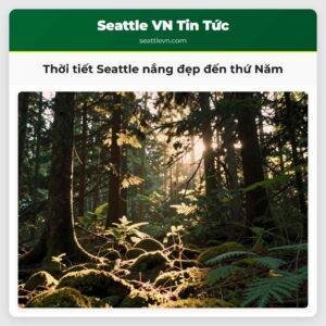 Thời tiết Seattle nắng đẹp đến thứ Năm