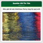 Đấu giá tài sản Matthew Perry ủng hộ quỹ anh