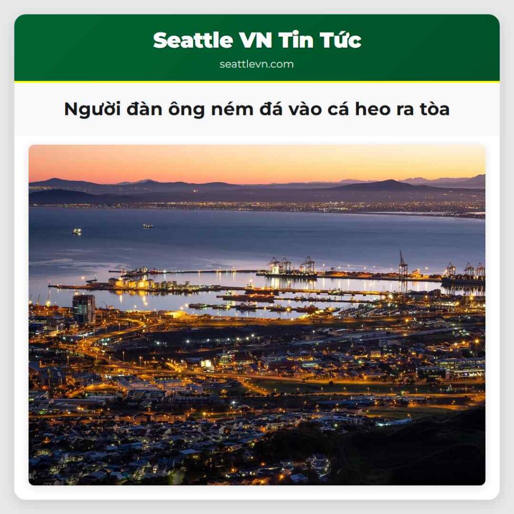 Người đàn ông ném đá vào cá heo ra tòa
